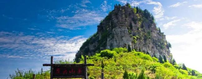 乐趣植物课 | 走进神奇仰天山，探寻动植物的乐趣！